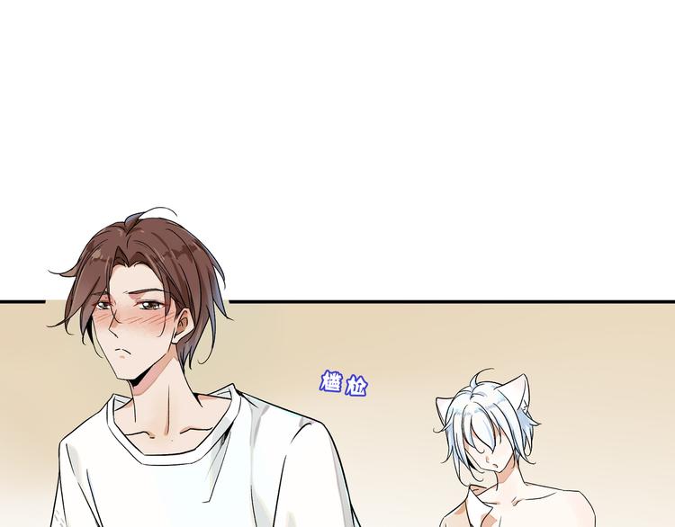 被猫碰瓷了50