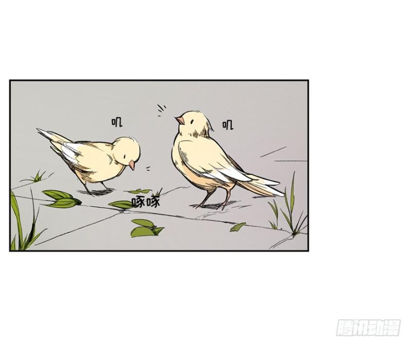 熬汤宝26