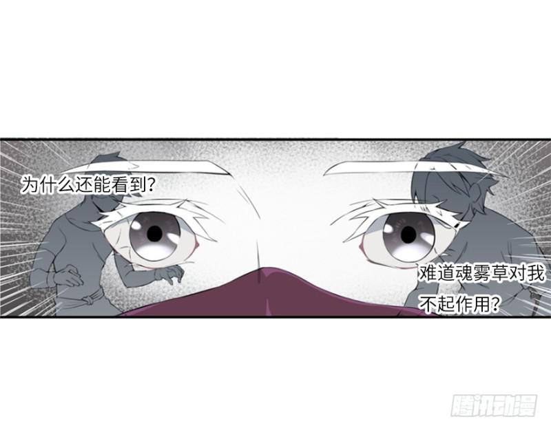 地火蛛网5