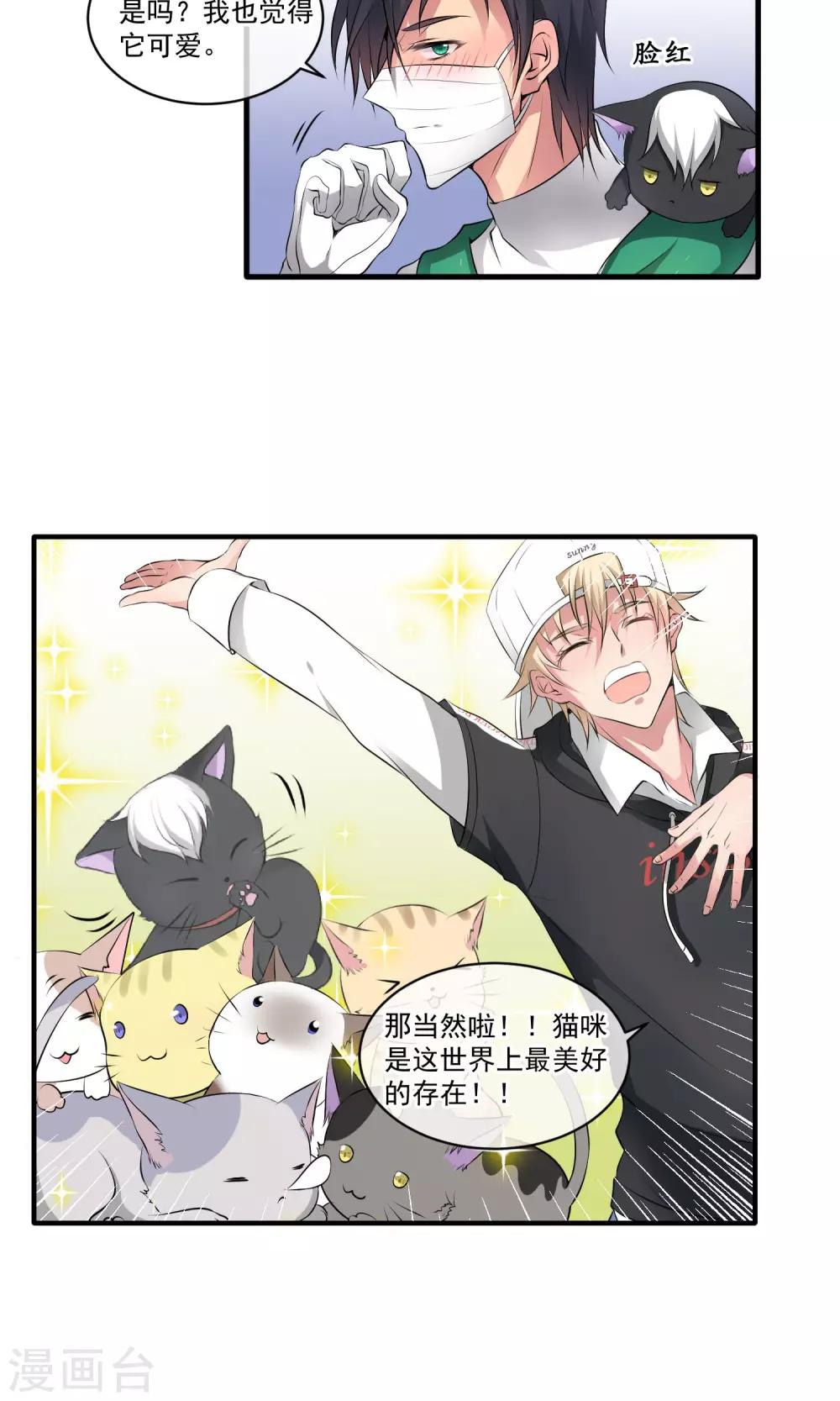 第3话 同是猫奴6