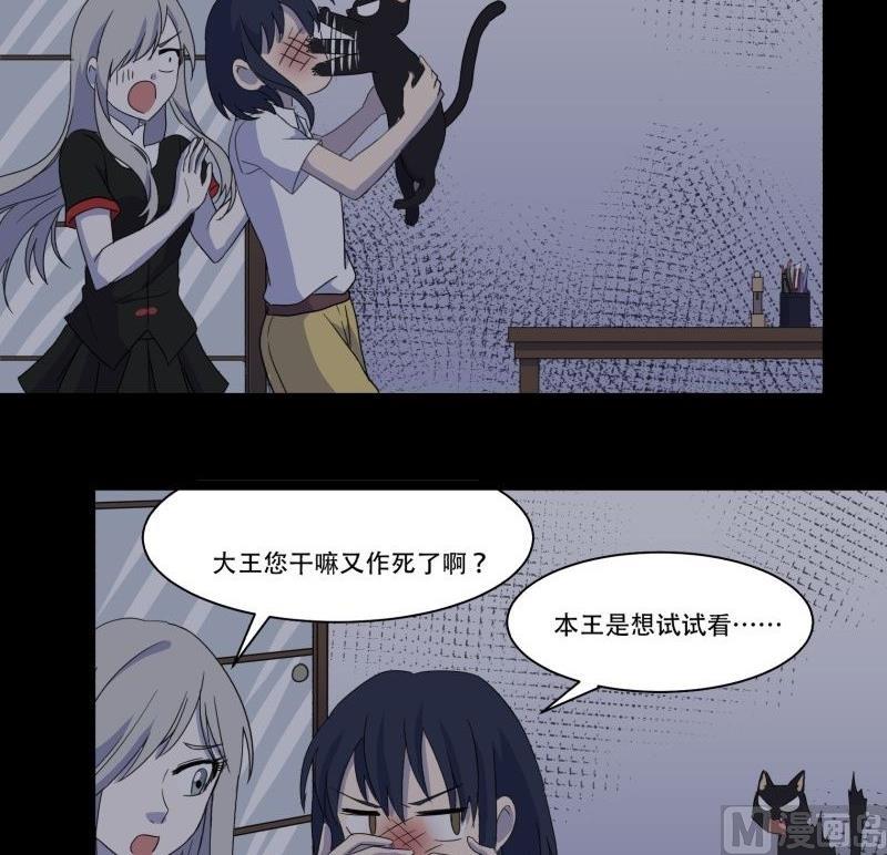 第11话 追踪23