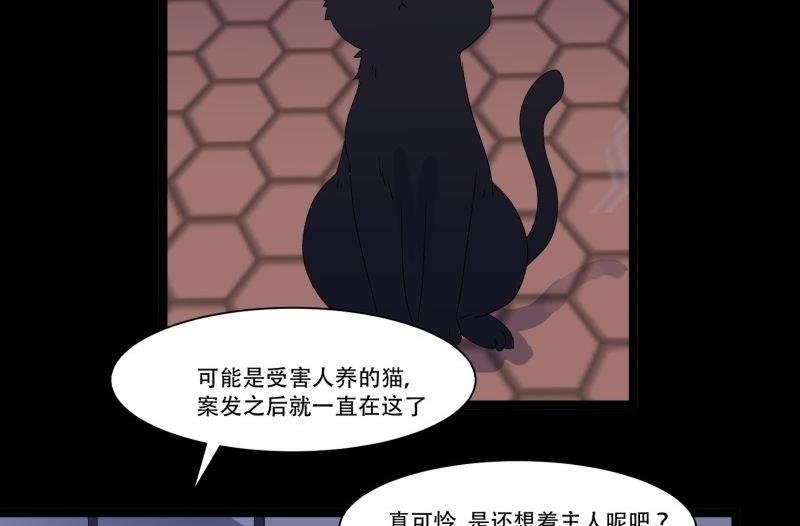 第11话 追踪10