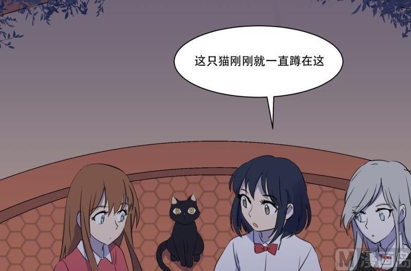 第11话 追踪8