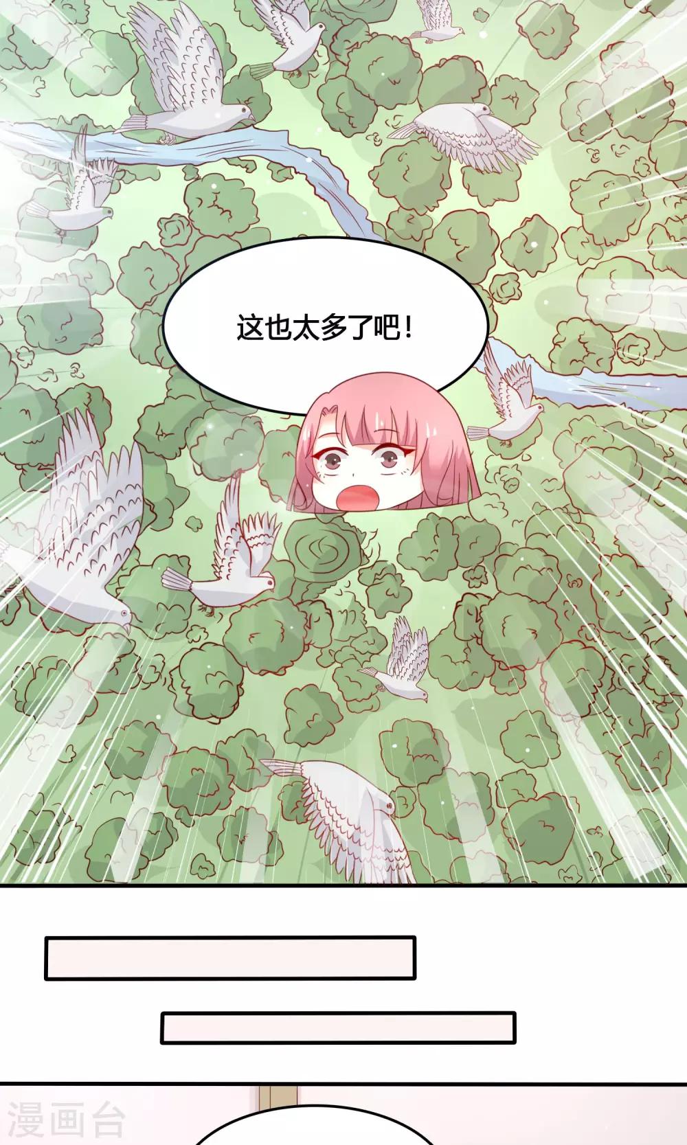 第6话 一起逛街？12