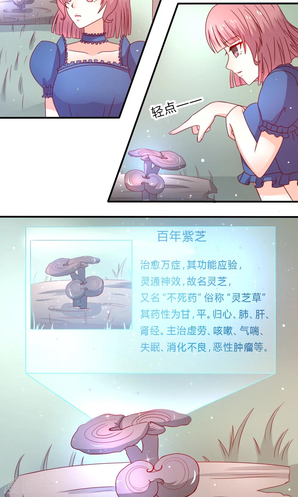 第5话 准备寿礼3