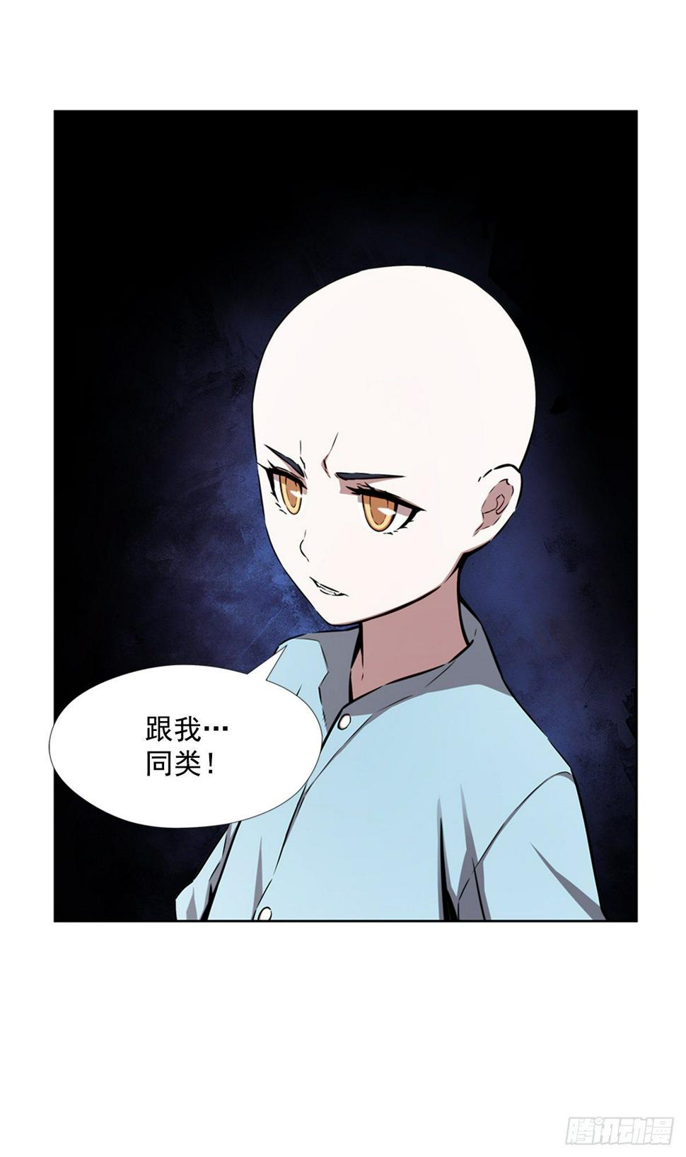 同类23