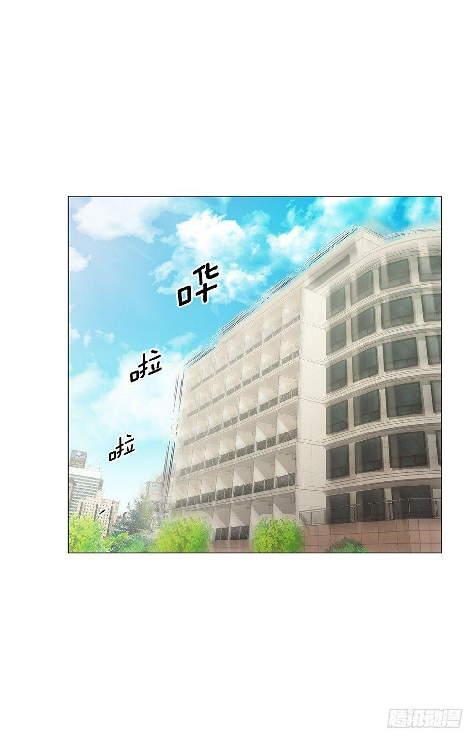 强者31