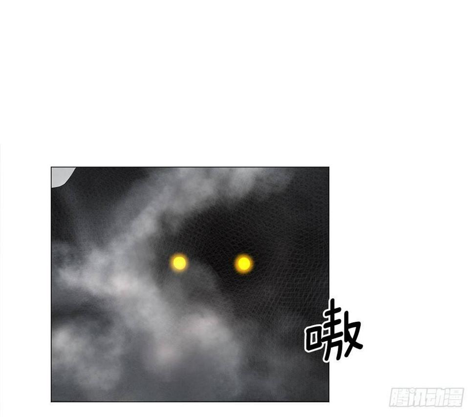 强者19