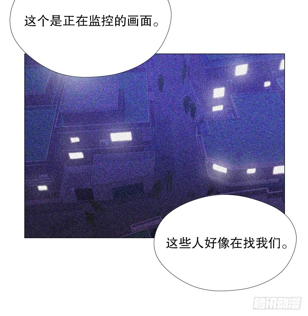 阴谋19
