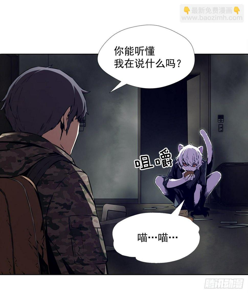 猫女40