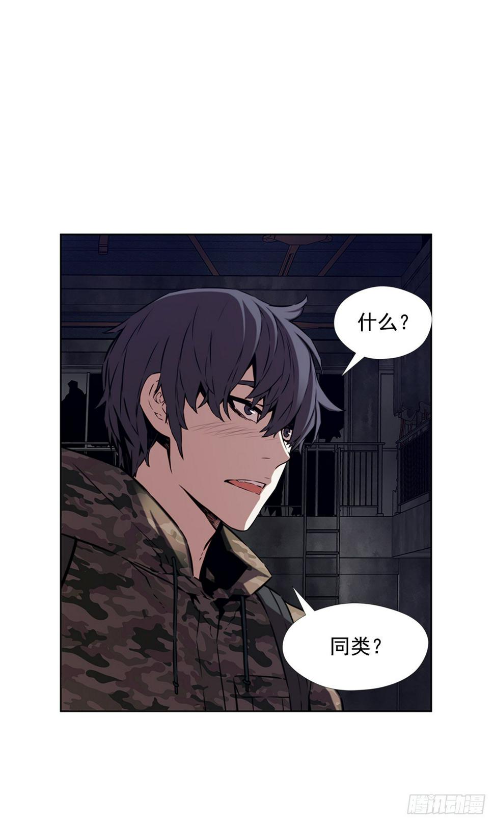同类24
