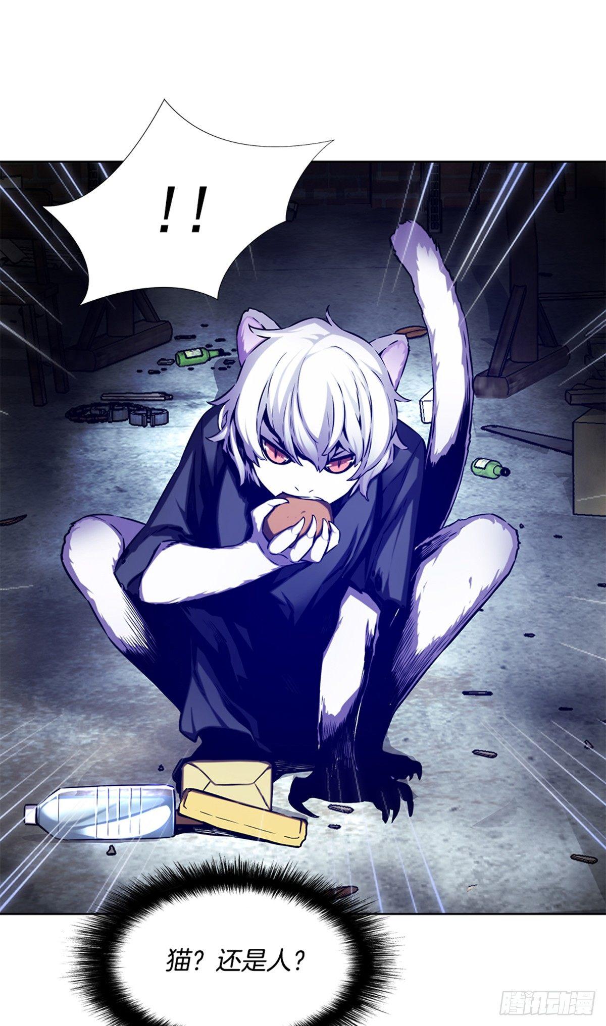 猫女13