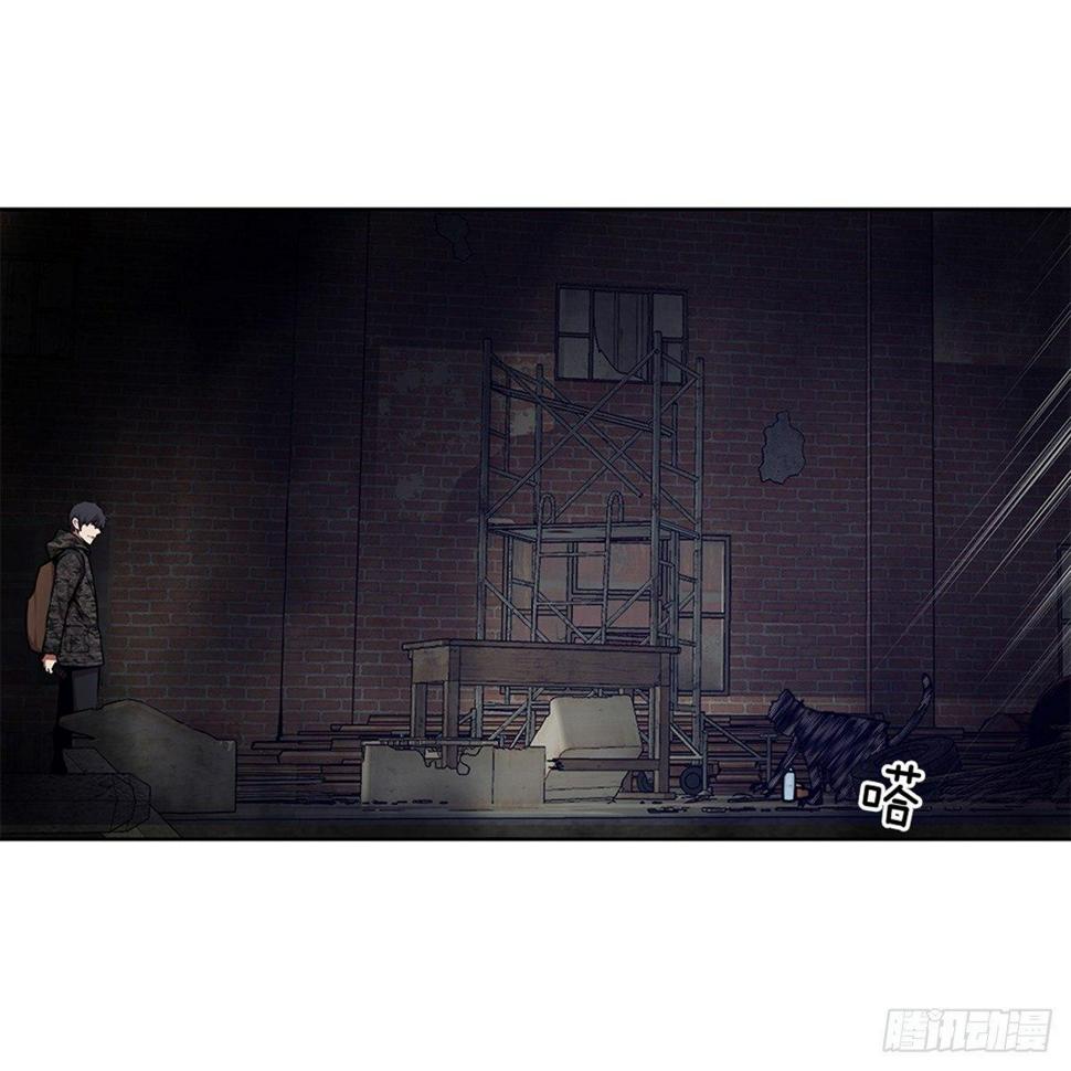 猫女11