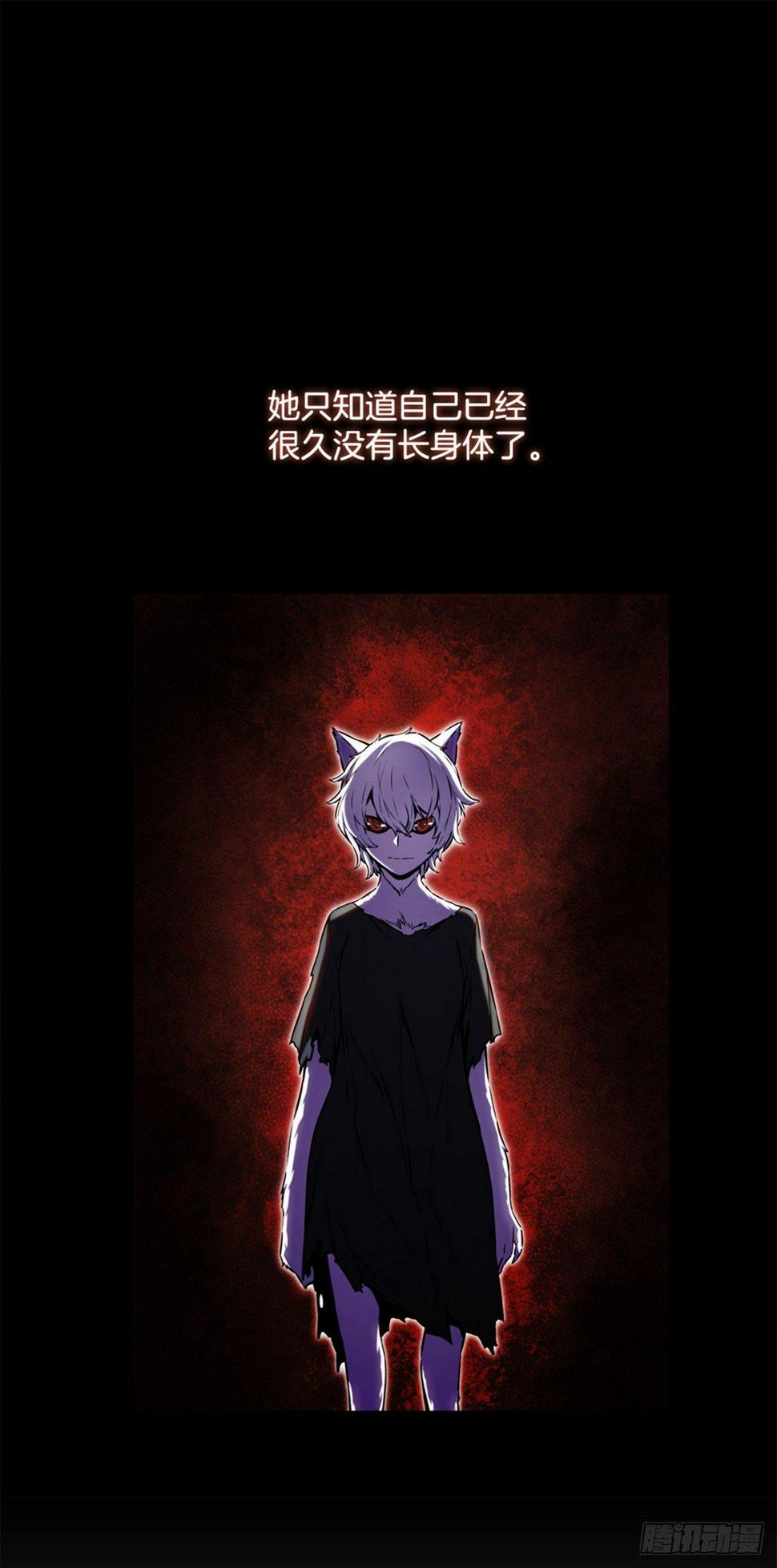 实验者们27