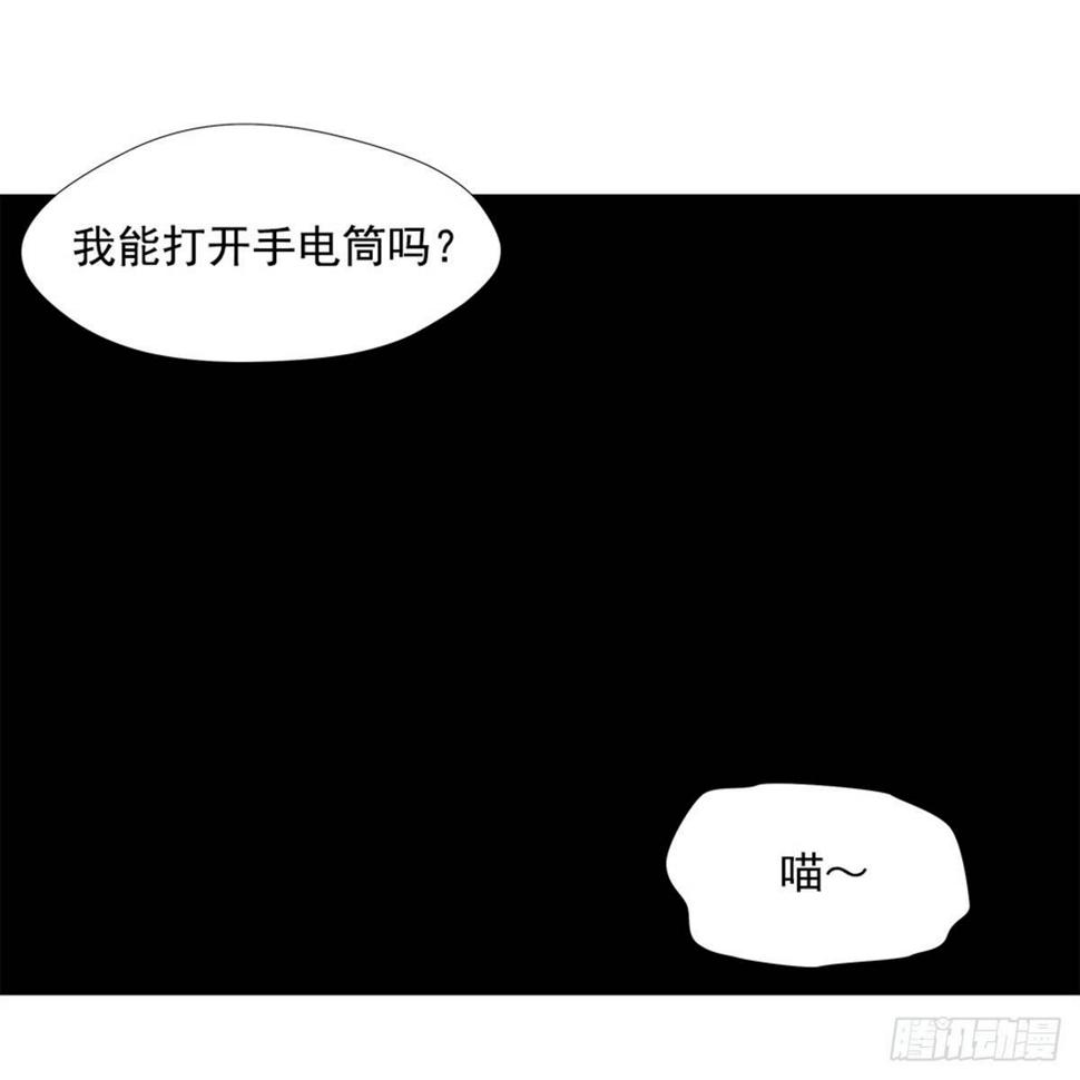 实验者们1
