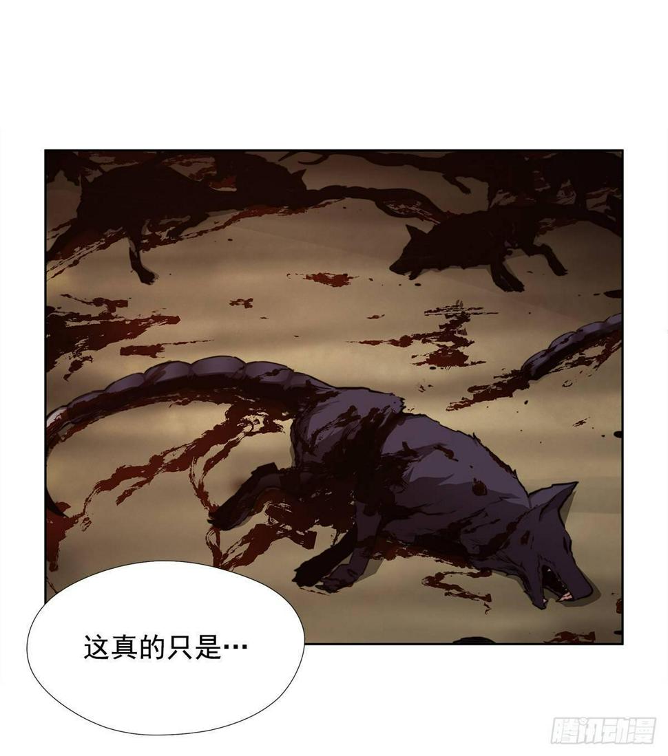 选择43
