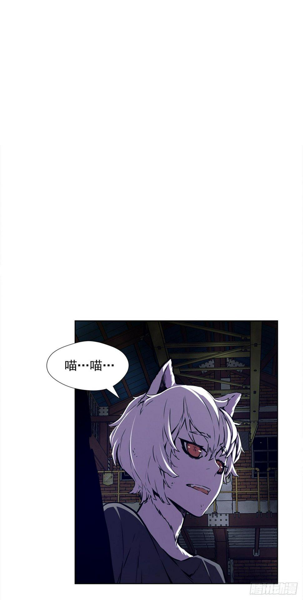 实验者们49