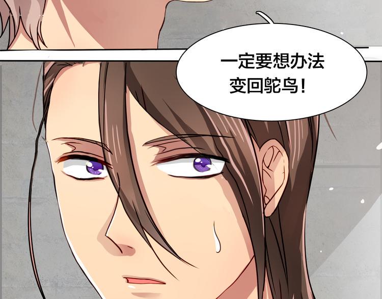 第15话 变回鸵鸟？35