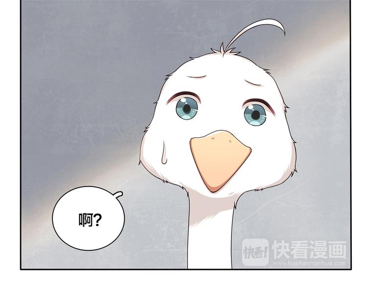 第13话 未婚妻出场了···6