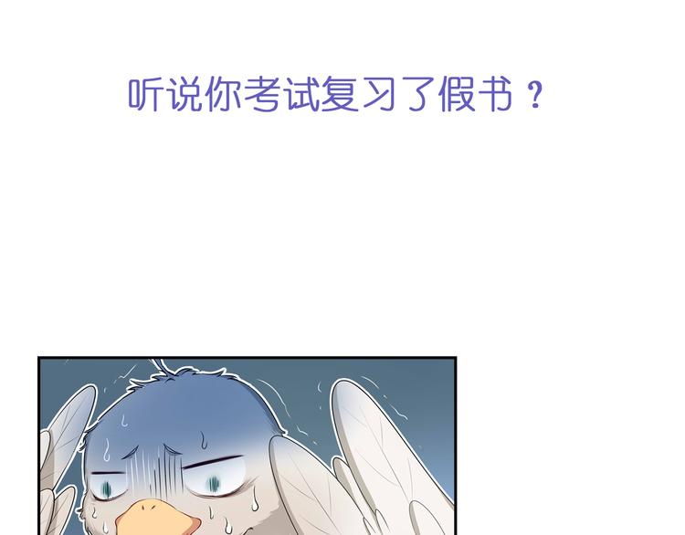 序章 我竟然变成了鸵鸟？！38