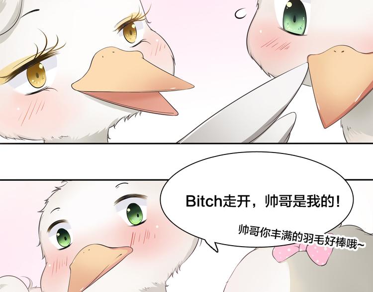 第6话 最辉煌的时刻！15