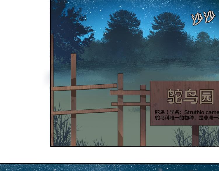 第6话 最辉煌的时刻！11