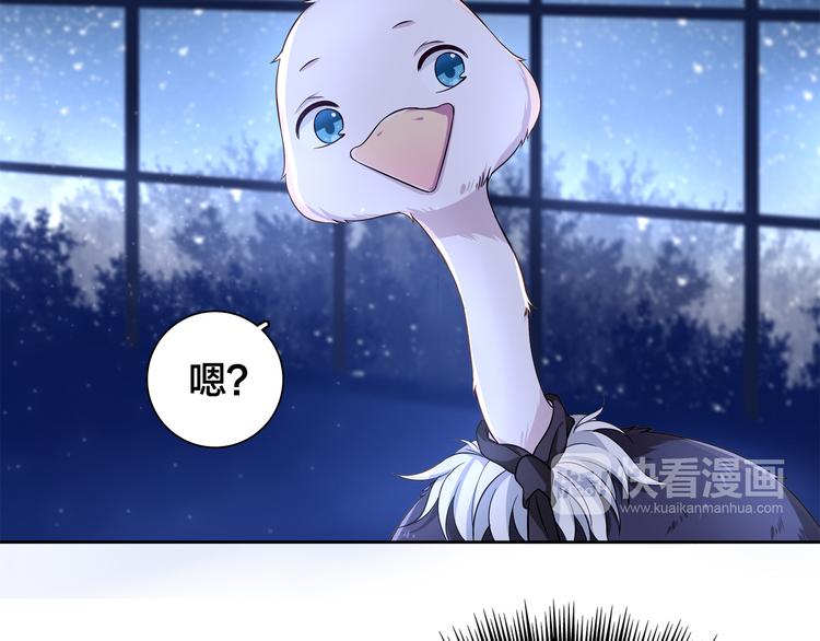 第10话 亡命天涯？？4