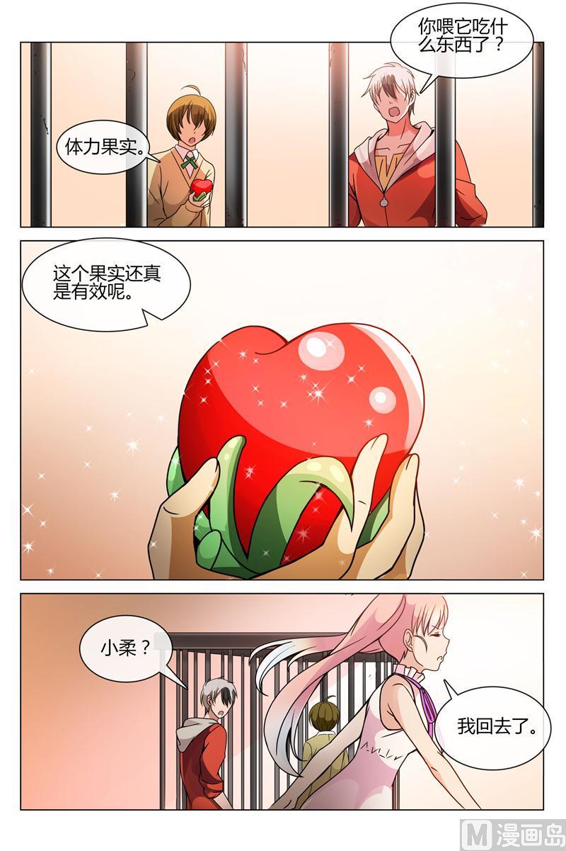 体力果6