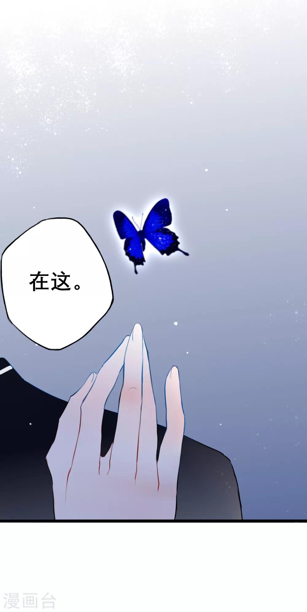 第13话 庄生晓梦迷蝴蝶5