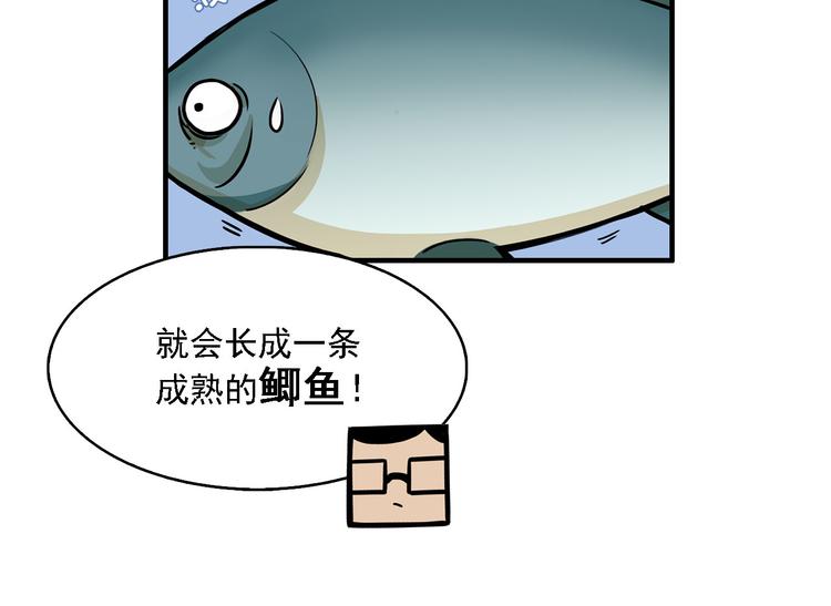 第2碗 锦鲤36