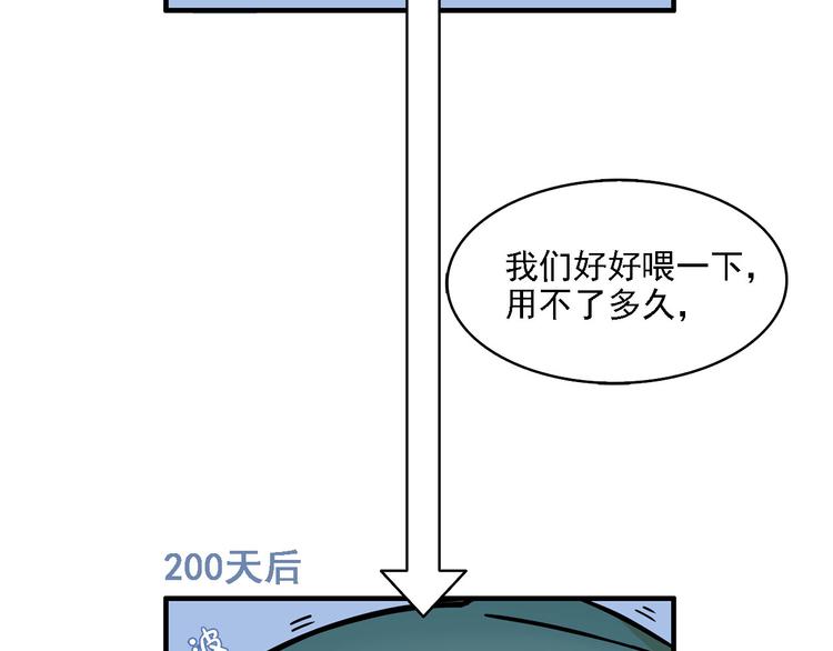 第2碗 锦鲤35