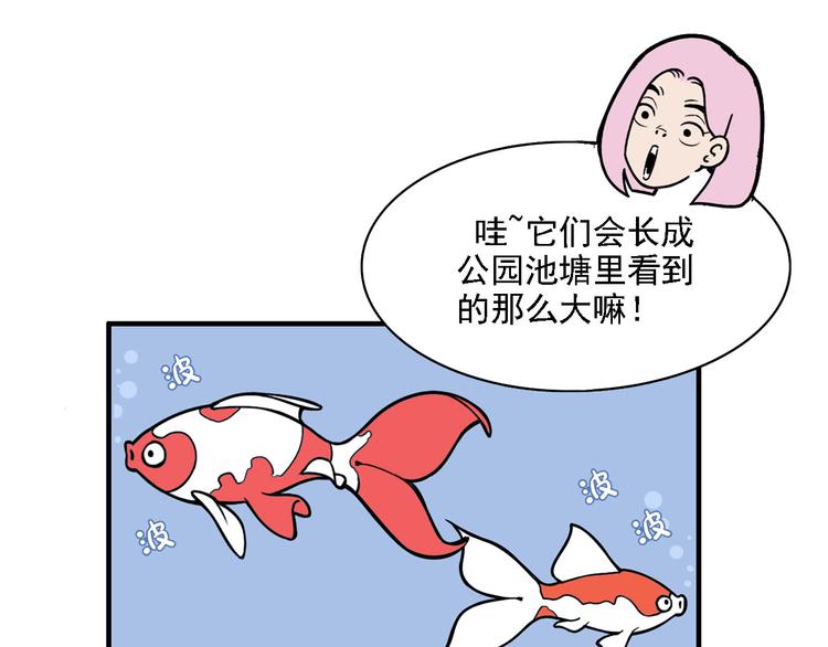 第2碗 锦鲤14
