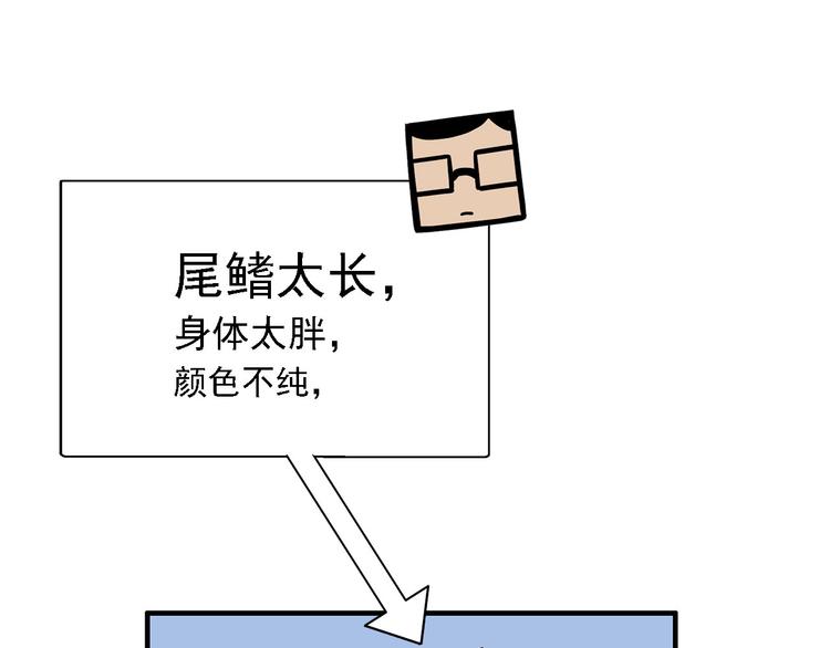 第2碗 锦鲤23