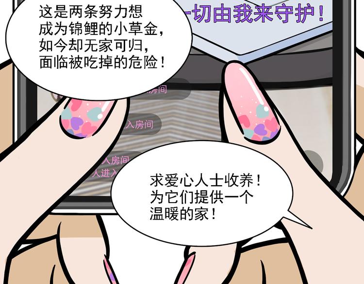 第2碗 锦鲤56