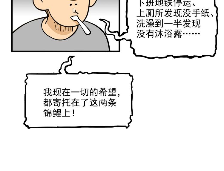第2碗 锦鲤13