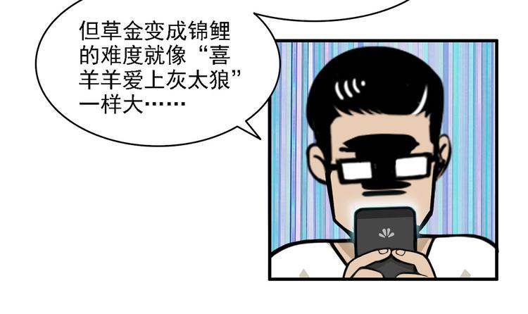 第2碗 锦鲤42