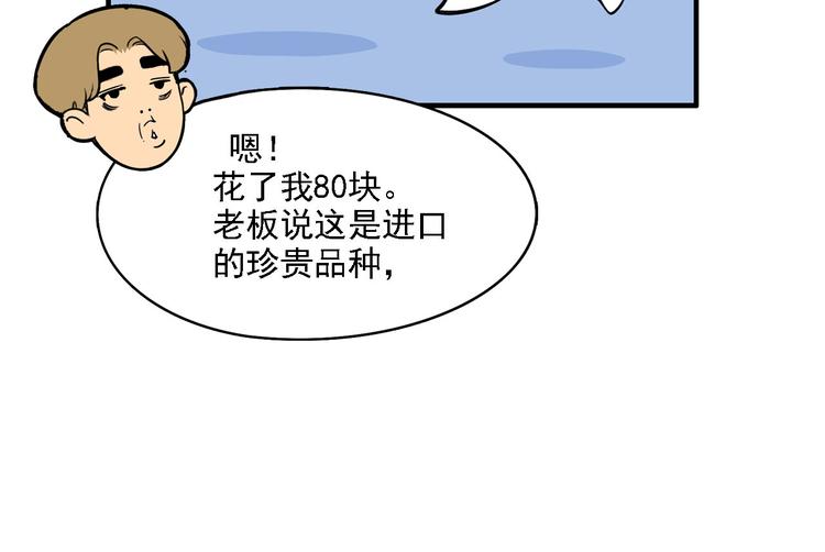 第2碗 锦鲤15