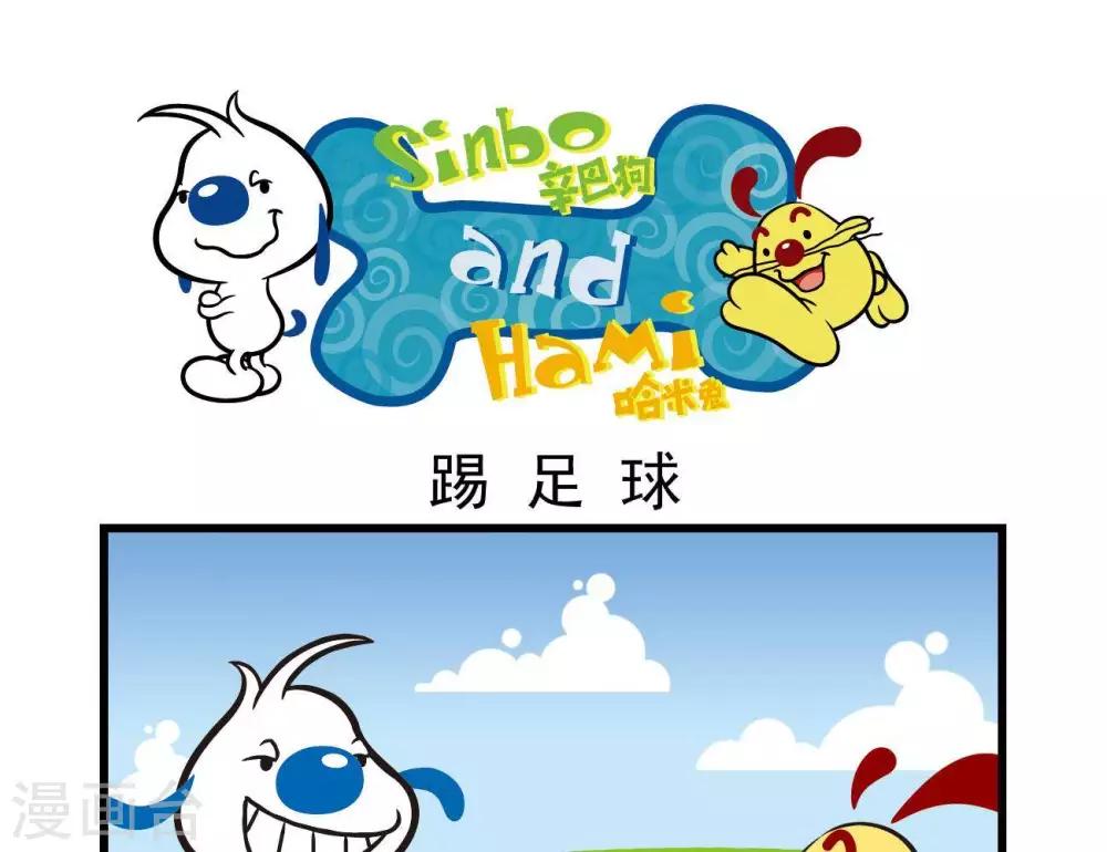 四格20