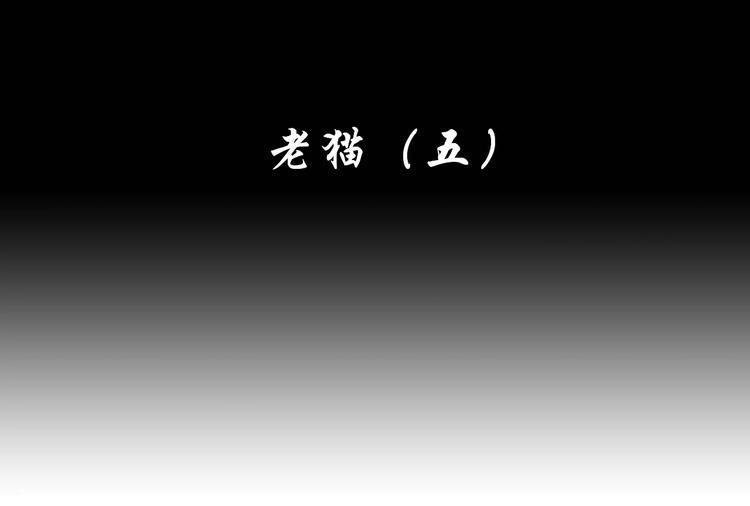 第5话 死去的杜小丽2