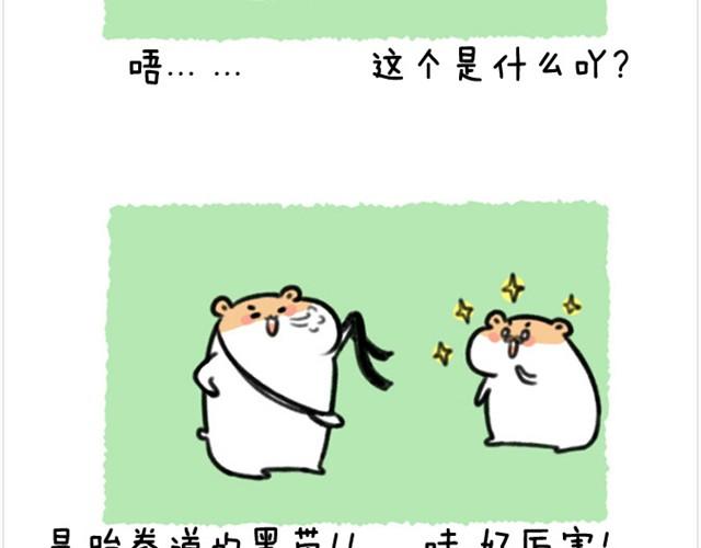 第6话 茶包是跆拳道黑带？7