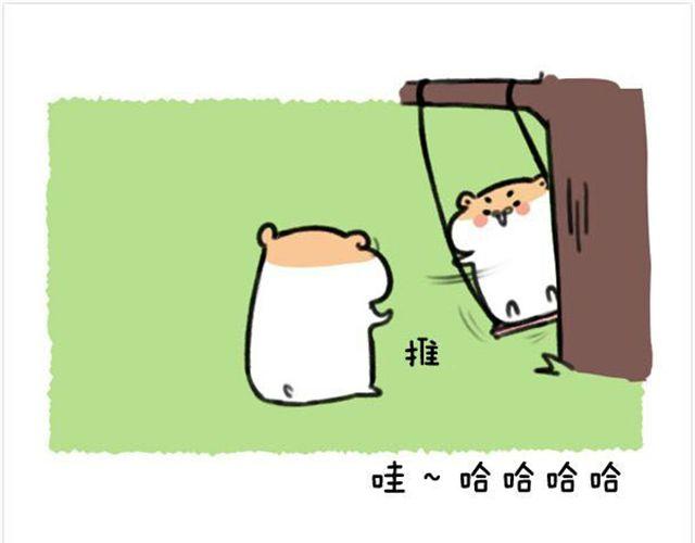 第14话 荡秋千引发的血案17