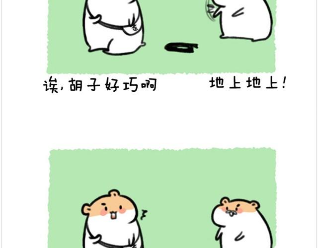 第6话 茶包是跆拳道黑带？5