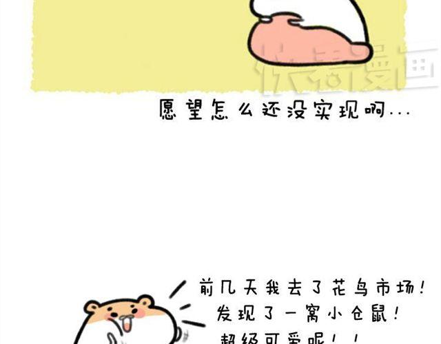 第11话 许愿池25