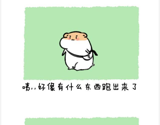 第6话 茶包是跆拳道黑带？2