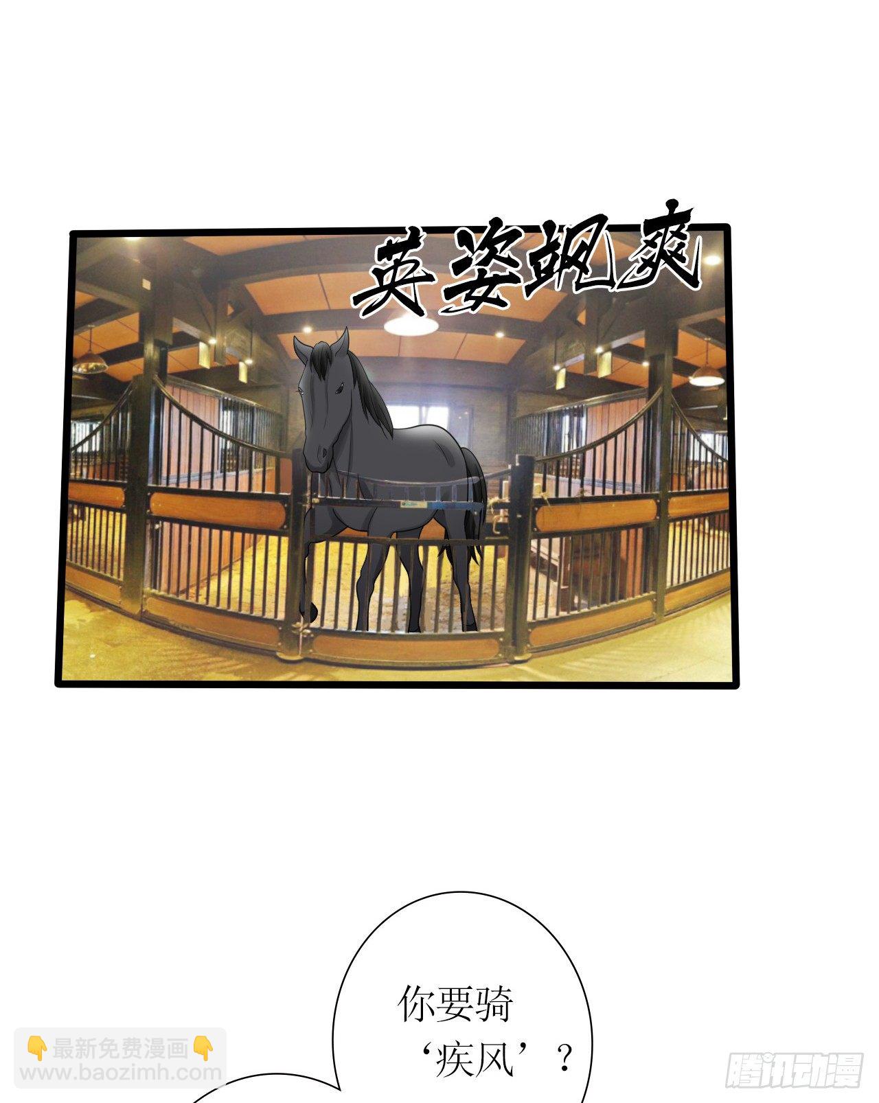 第17话 赛马8