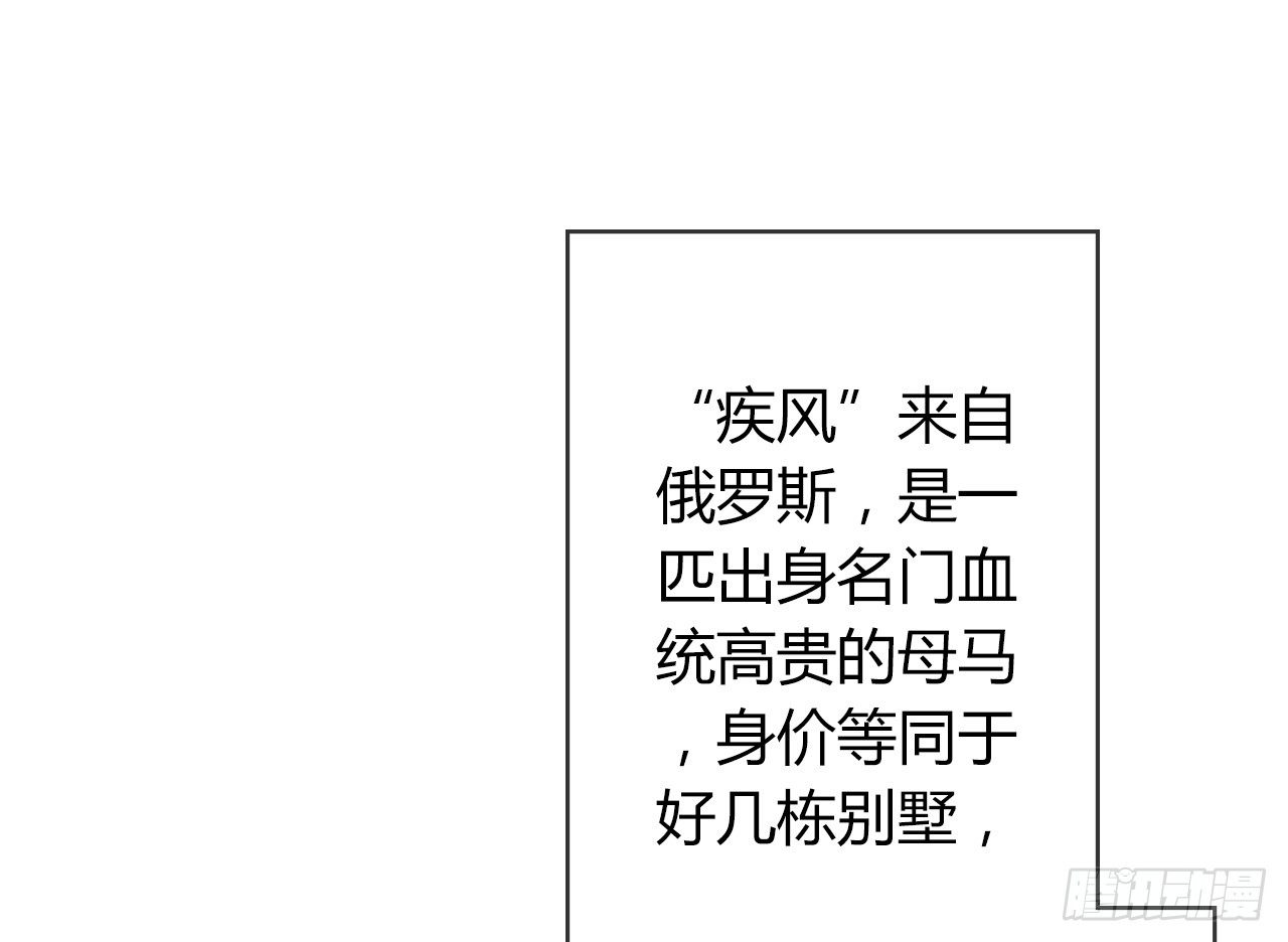 第17话 赛马19