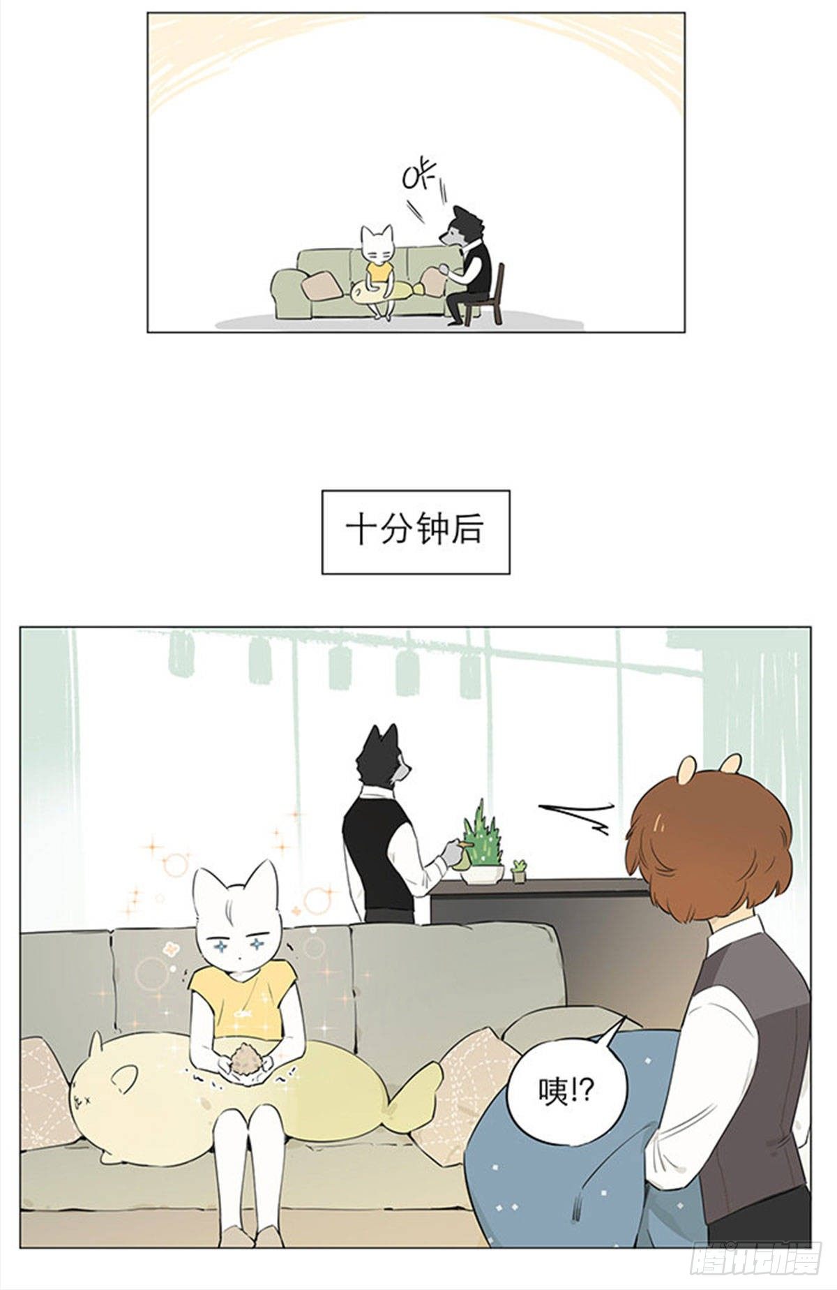 回来啦~6