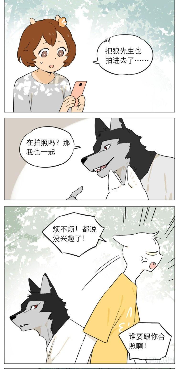 露营37