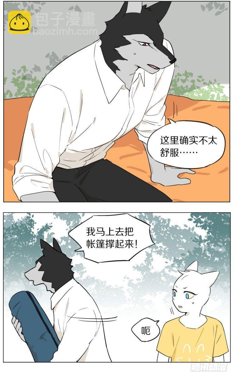露营6