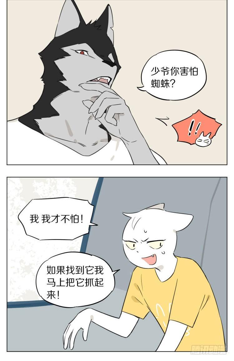 露营26